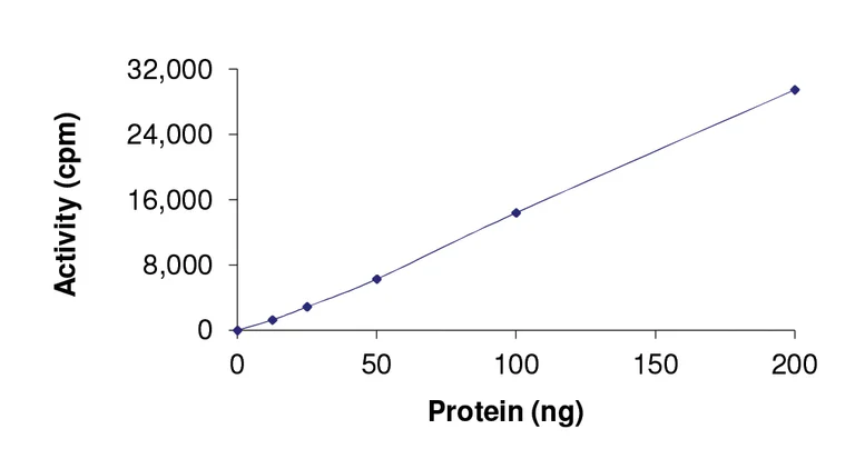 Functional Studies - Recombinant human BMPR1B protein (GST tag N-Terminus) (AB107949)