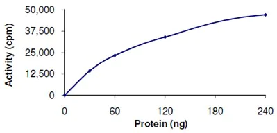 Functional Studies - Recombinant human BMPR1B protein (GST tag N-Terminus) (AB107949)