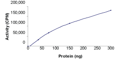 Functional Studies - Recombinant human BMX protein (AB60877)