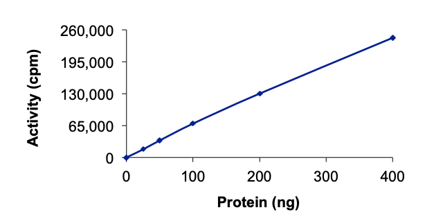 Recombinant human BMX protein