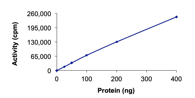 Functional Studies - Recombinant human BMX protein (AB60877)