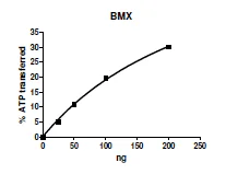 Functional Studies - Recombinant human BMX protein (GST tag N-Terminus) (AB271390)