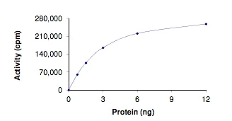 Functional Studies - Recombinant human BRAF (mutated G469A) protein (GST tag N-Terminus) (AB204222)