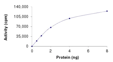 Functional Studies - Recombinant human BRAF (mutated L597V) protein (AB204186)