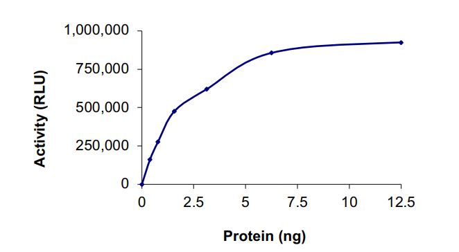 Recombinant human BRAF (mutated V600A) protein (Active)