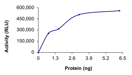 Functional Studies - Recombinant human BRAF (mutated V600E) protein (Active) (AB204154)