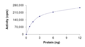 Functional Studies - Recombinant human BRAF (mutated V600K) protein (AB204191), expandable thumbnail