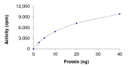 Functional Studies - Recombinant human BRAF protein (AB201412)