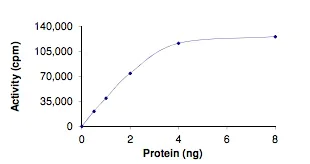 Functional Studies - Recombinant human BRAF protein (AB204208)