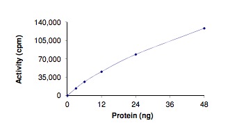 Functional Studies - Recombinant human BRAF protein (AB204212), expandable thumbnail
