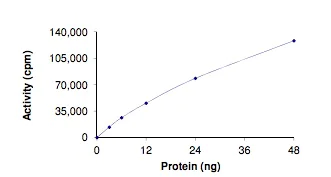 Functional Studies - Recombinant human BRAF protein (AB204212)
