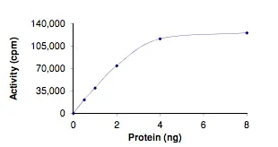 Functional Studies - Recombinant human BRAF protein (GST tag N-Terminus) (AB204208)