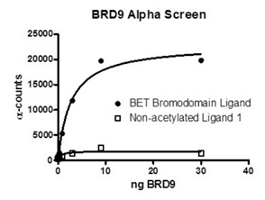 Functional Studies - Recombinant human BRD9 protein (Active) (AB196105)