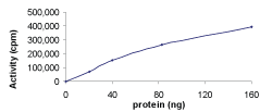 Functional Studies - Recombinant human Brk/PTK6 protein (AB60888), expandable thumbnail
