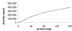 Functional Studies - Recombinant human Brk/PTK6 protein (AB60888)