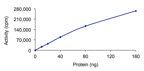 Functional Studies - Recombinant human Brk/PTK6 protein (AB60888), expandable thumbnail