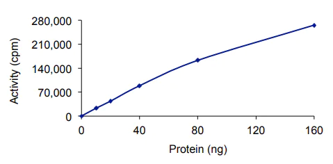 Functional Studies - Recombinant human Brk/PTK6 protein (AB60888)