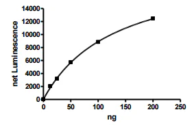 Functional Studies - Recombinant human Brk/PTK6 protein (GST tag N-Terminus) (AB271391)