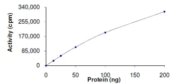 Functional Studies - Recombinant human BRSK2 protein (AB139629)