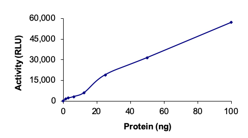 Functional Studies - Recombinant human BTK (mutated C481F) protein (Active) (AB268371), expandable thumbnail