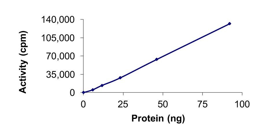Recombinant human BTK (mutated C481S) protein