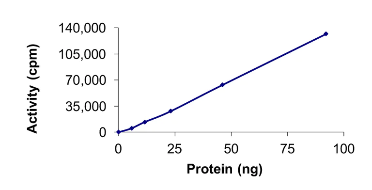 Functional Studies - Recombinant human BTK (mutated C481S) protein (AB204166)