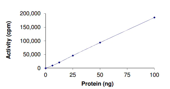 Functional Studies - Recombinant human BTK (mutated C481S) protein (AB204166)