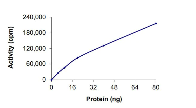Functional Studies - Recombinant human BTK (mutated P190K) protein (Active) (AB268373)