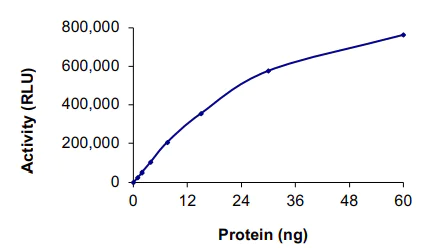 Functional Studies - Recombinant human BTK protein (AB205800)