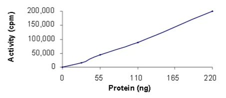Functional Studies - Recombinant human BTK protein (AB205800)