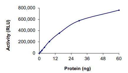 Functional Studies - Recombinant human BTK protein (His tag N-Terminus) (AB205800)