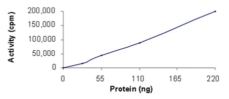 Functional Studies - Recombinant human BTK protein (His tag N-Terminus) (AB205800)