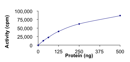 Functional Studies - Recombinant human c-Kit (mutated A829P) protein (Active) (AB268409), expandable thumbnail