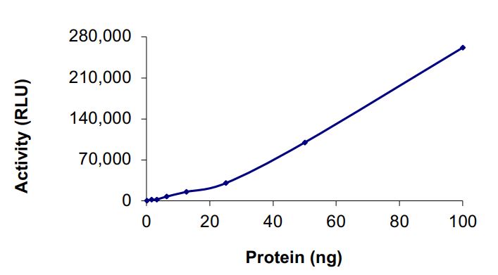 Recombinant human c-Kit (mutated D816E) protein (Active)