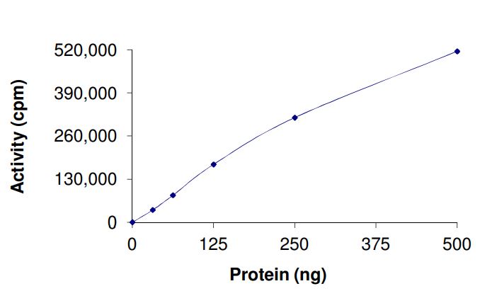 Functional Studies - Recombinant human c-Kit (mutated D816F) protein (Active) (AB268412)