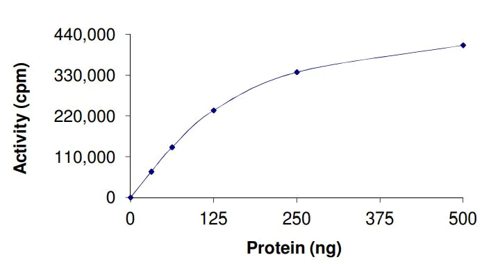 Functional Studies - Recombinant human c-Kit (mutated D816H) protein (Active) (AB268413)