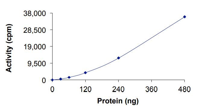 Functional Studies - Recombinant human c-Kit (mutated D816I) protein (Active) (AB268414)