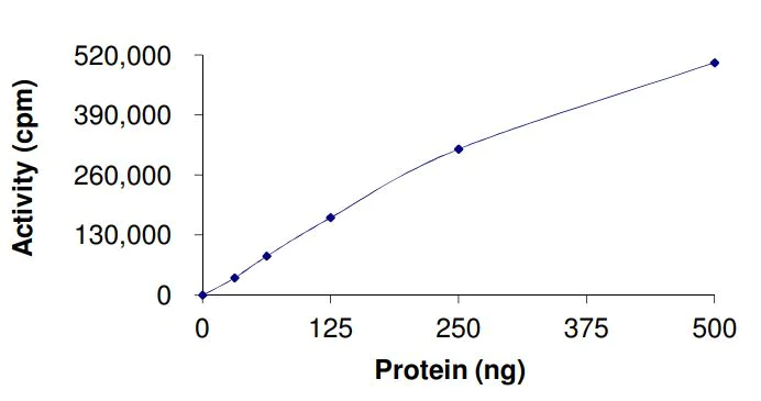 Functional Studies - Recombinant human c-Kit (mutated D816Y) protein (Active) (AB268416)