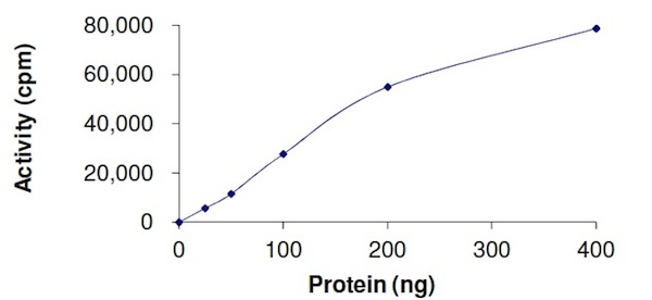 Functional Studies - Recombinant human c-Kit (mutated D820E) protein (AB184893), expandable thumbnail