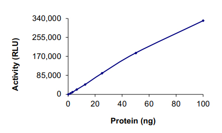 Functional Studies - Recombinant human c-Kit (mutated D820E) protein (AB184893), expandable thumbnail