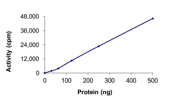 Recombinant human c-Kit (mutated K642E) protein (Active)