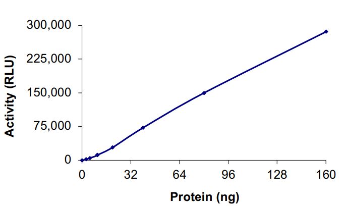 Recombinant human c-Kit (mutated L576P) protein (Active)