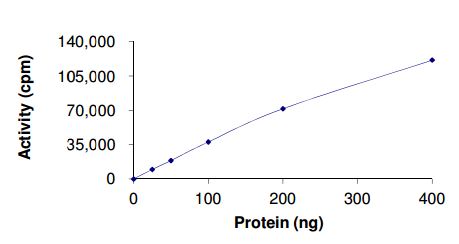 Functional Studies - Recombinant human c-Kit (mutated T670E) protein (AB185252), expandable thumbnail