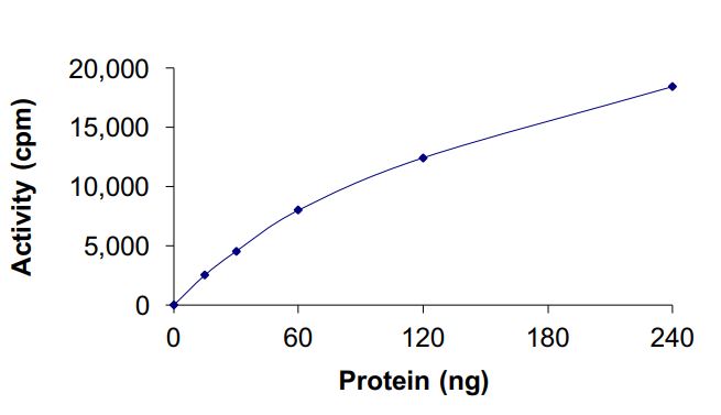 Functional Studies - Recombinant human c-Kit (mutated T670I) protein (Active) (AB268419), expandable thumbnail