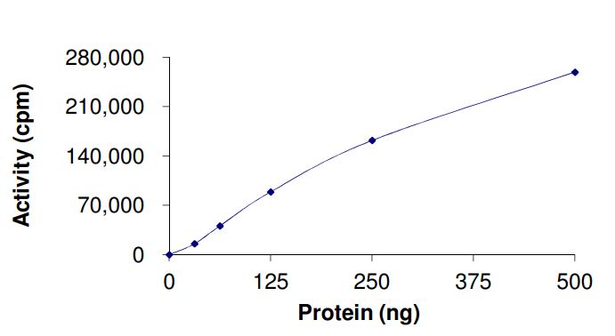 Functional Studies - Recombinant human c-Kit (mutated V559A) protein (Active) (AB268420)