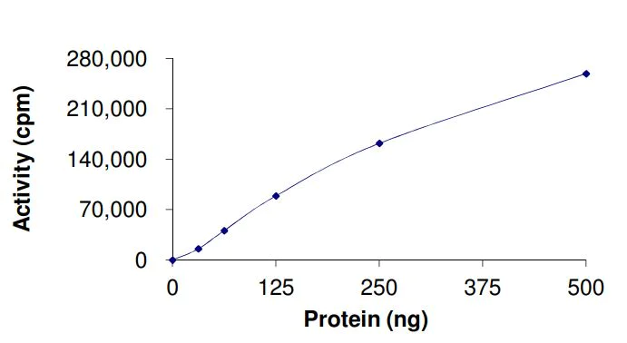 Functional Studies - Recombinant human c-Kit (mutated V559A) protein (Active) (AB268420)