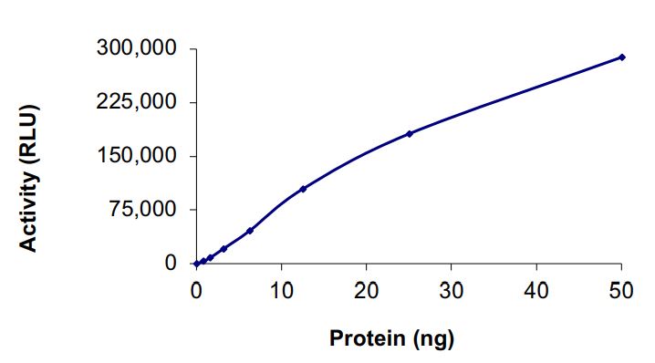 Recombinant human c-Kit (mutated V560G + N822K) protein (Active)