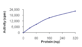 Functional Studies - Recombinant human c-Kit (mutated V654A) protein (AB63179), expandable thumbnail