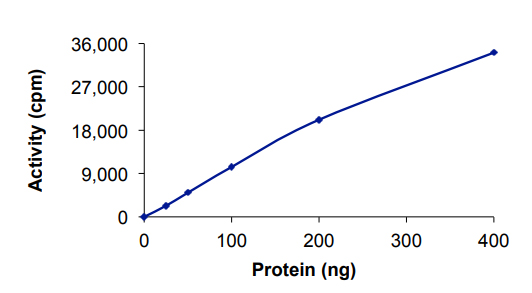 Functional Studies - Recombinant human c-Kit (mutated V654A) protein (AB63179), expandable thumbnail