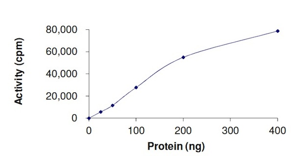 Functional Studies - Recombinant human c-Kit (mutated Y823D) protein (AB184889), expandable thumbnail